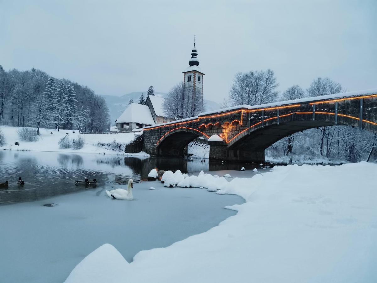 Cottage Suha Bohinj Exterior photo